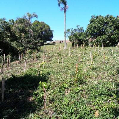 Meio Ambiente 28